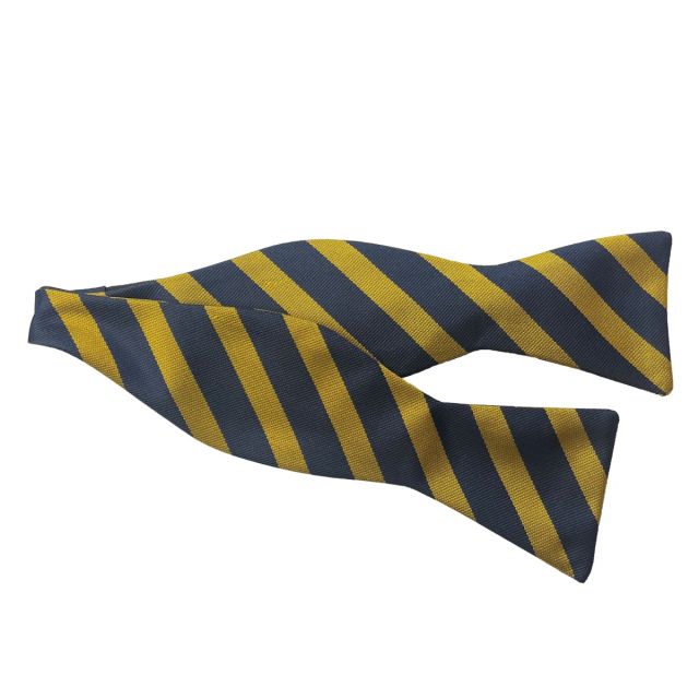 Gym Society Silk Bow Tie