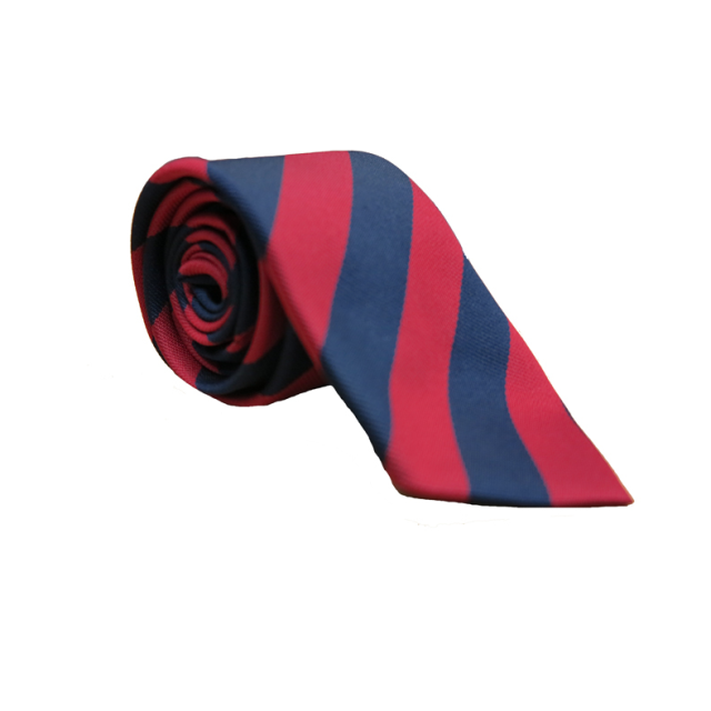 Melcombe School Tie