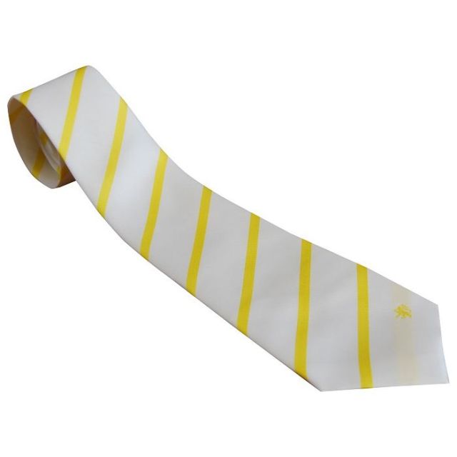 Newlands House Junior Tie 