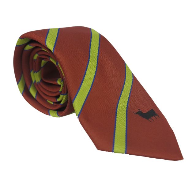 Spanish Society Tie