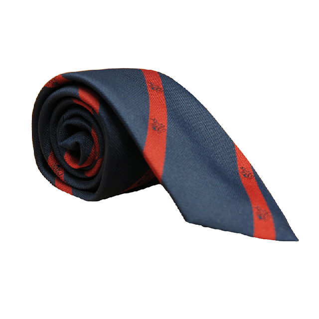Thomas's Academy School Tie