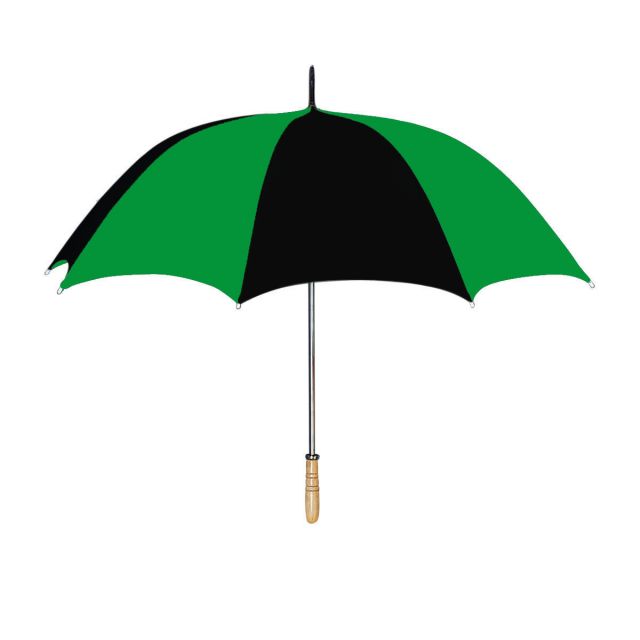 Lyon's Umbrella