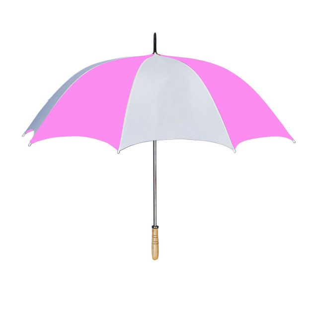 The Head Master's Umbrella