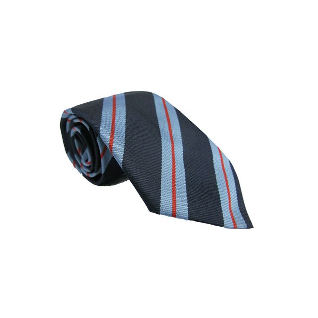 Prospect House School Tie
