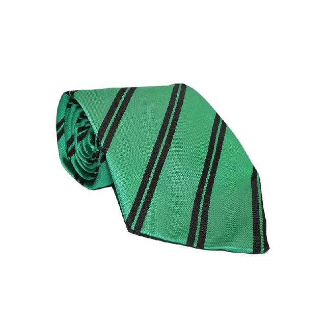 Lyon's Junior House Colours Tie