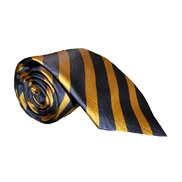 Gym Society Silk Tie