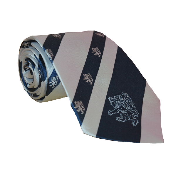 Skiing Tie