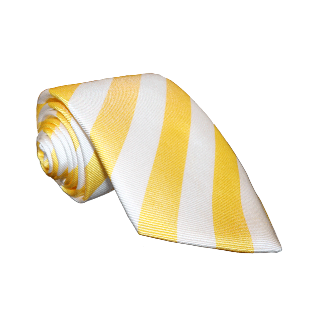 Newlands Senior House Colours Tie