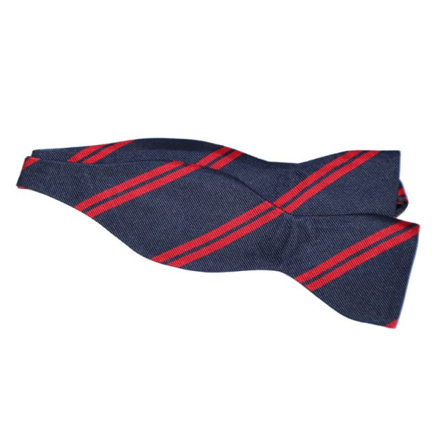 Squash Silk Bow Tie