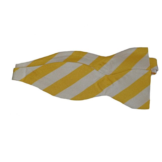 Newlands House Bow Tie