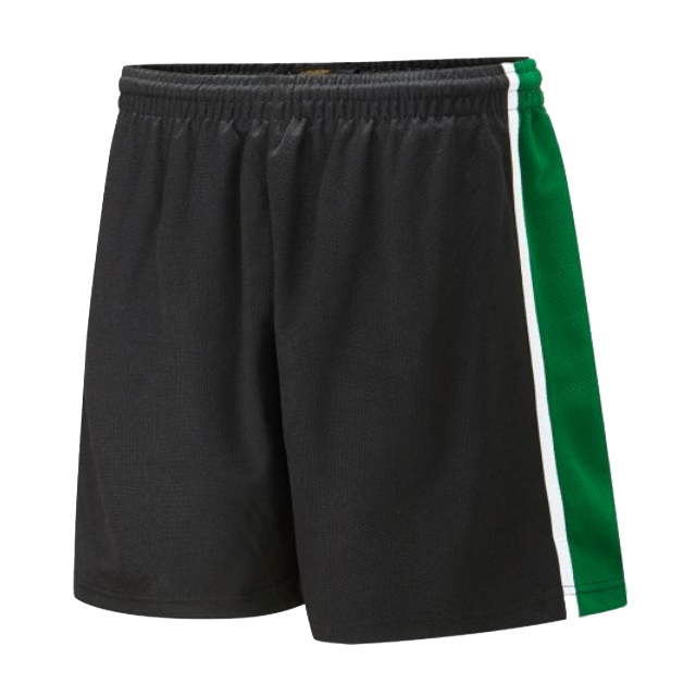 Fulham Cross Academy PE Shorts