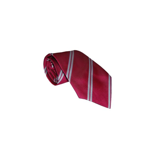 Rendalls Junior Colours Tie