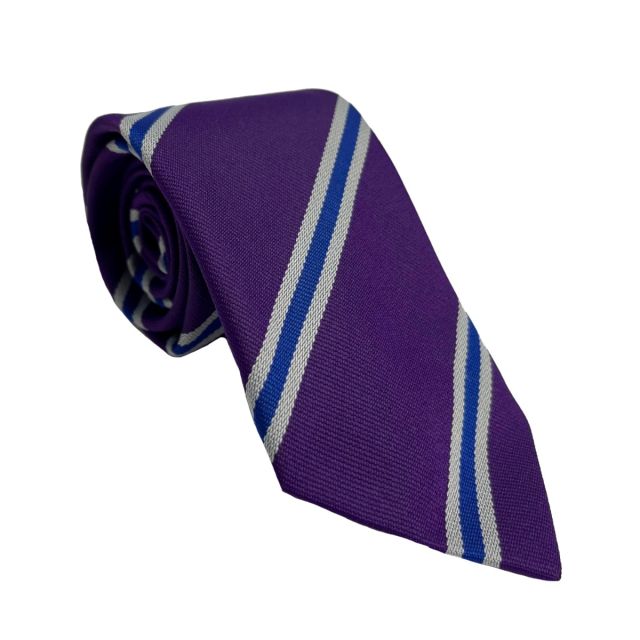 St John's Prep House Tie