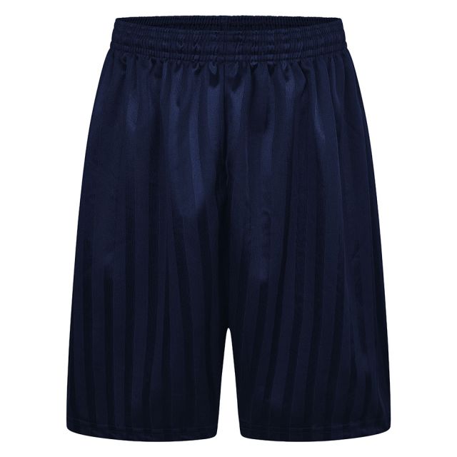 Navy Shadow Stripe Shorts