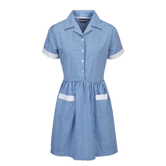 Sky Check Summer Dress