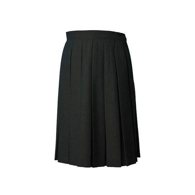Black Box Pleat Skirt