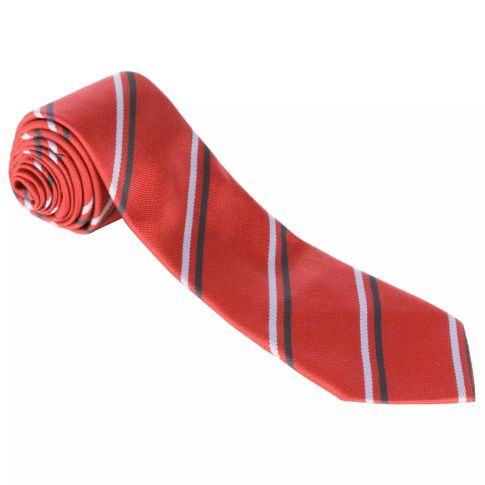 Holy Cross Boys School Tie