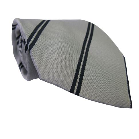 Rugby Lions Tie