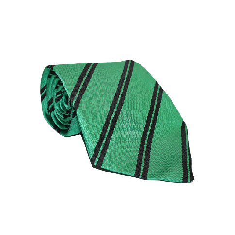 Lyon&#039;s Junior House Colours Tie