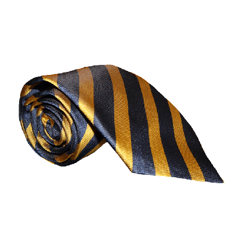 Gym Society Silk Tie