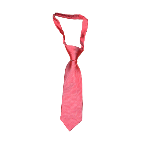 Prospect House Red Velcro Tie